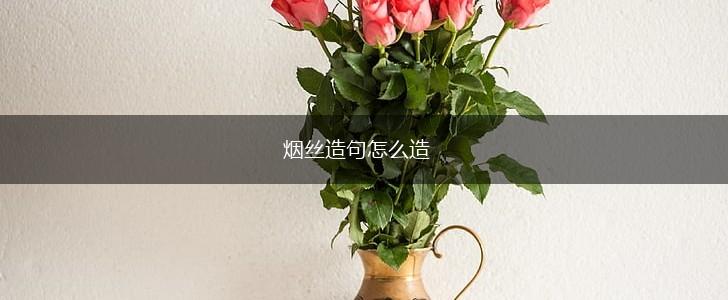 烟丝造句怎么造,第1张