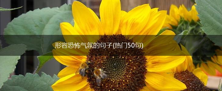 形容恐怖气氛的句子(热门50句),第1张