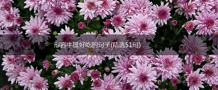 形容牛排好吃的句子(精选51句),第1张