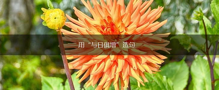用“与日俱增”造句,第1张