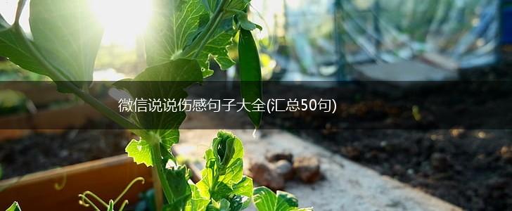 微信说说伤感句子大全(汇总50句),第1张