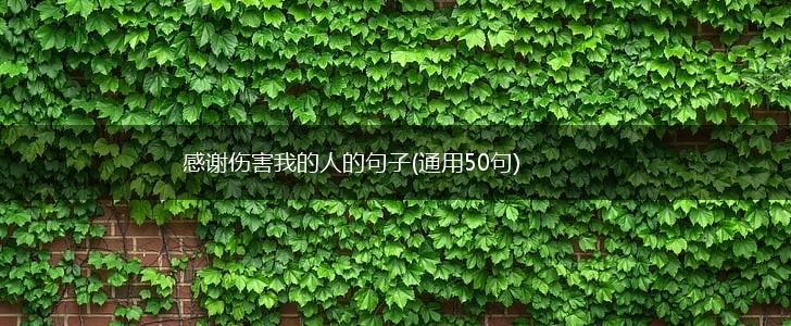 感谢伤害我的人的句子(通用50句),第1张