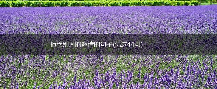 拒绝别人的邀请的句子(优选44句),第1张