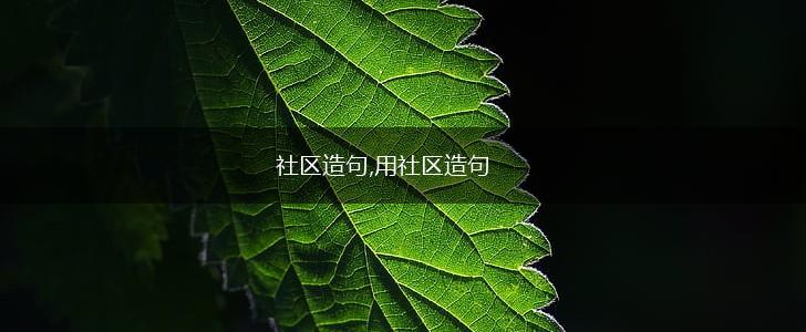 社区造句,用社区造句,第1张