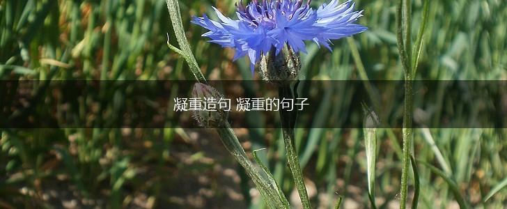 凝重造句 凝重的句子,第1张