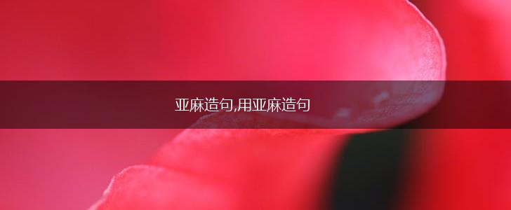 亚麻造句,用亚麻造句,第1张