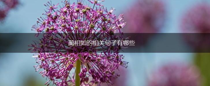 蔺相如的相关句子有哪些,第1张