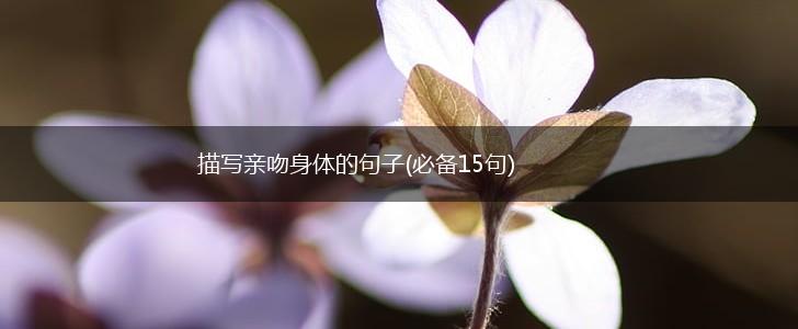描写亲吻身体的句子(必备15句),第1张
