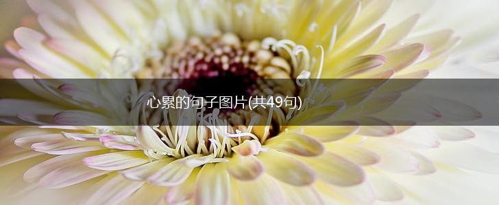心累的句子图片(共49句),第1张