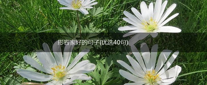 形容家好的句子(优选40句),第1张
