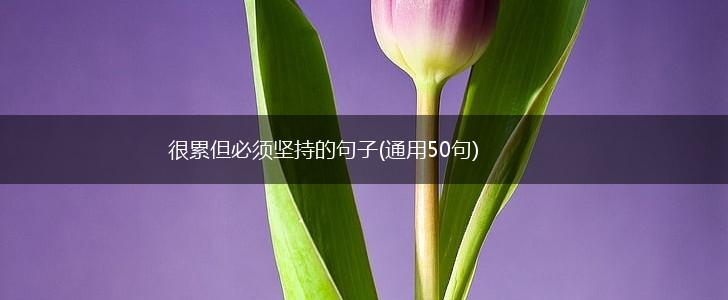 很累但必须坚持的句子(通用50句),第1张