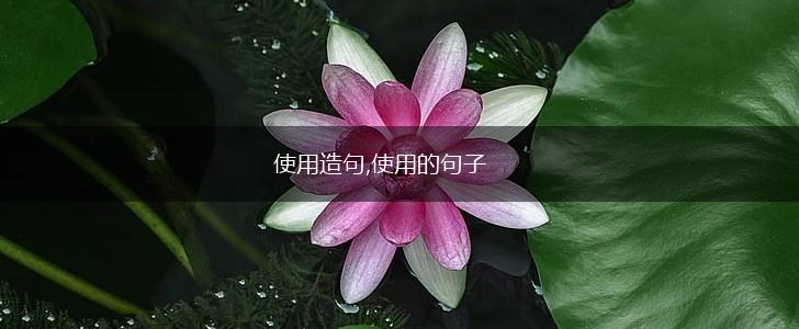 使用造句,使用的句子,第1张