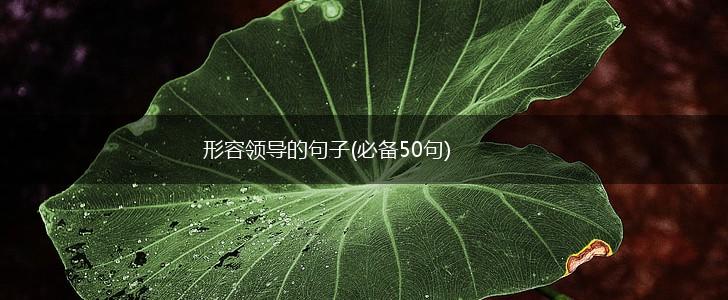 形容领导的句子(必备50句),第1张