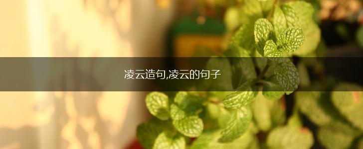 凌云造句,凌云的句子,第1张