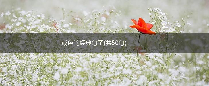 戒色的经典句子(共50句),第1张