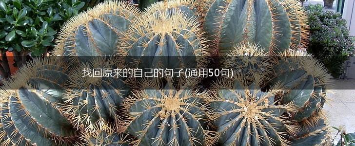 找回原来的自己的句子(通用50句),第1张