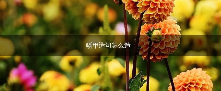 鳞甲造句怎么造,第1张