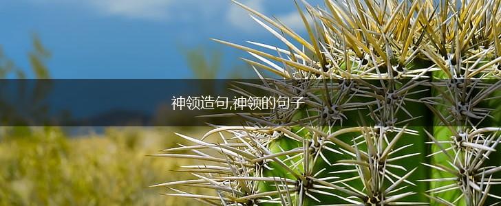 神领造句,神领的句子,第1张