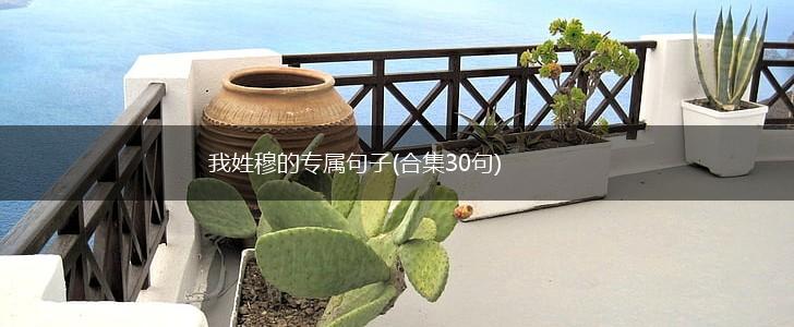 我姓穆的专属句子(合集30句),第1张