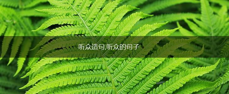 听众造句,听众的句子,第1张