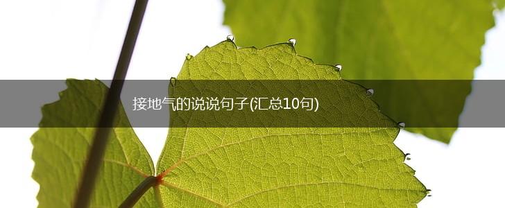 接地气的说说句子(汇总10句),第1张