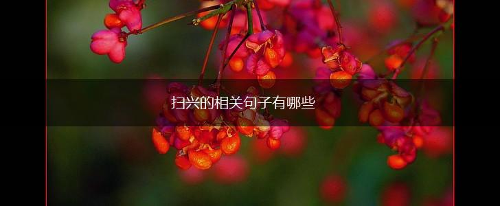 扫兴的相关句子有哪些,第1张
