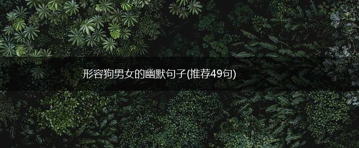 形容狗男女的幽默句子(推荐49句),第1张