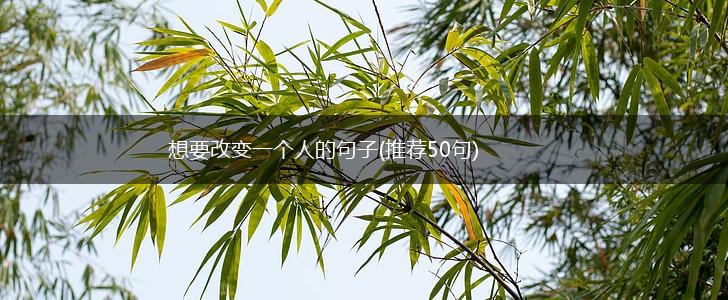 想要改变一个人的句子(推荐50句),第1张