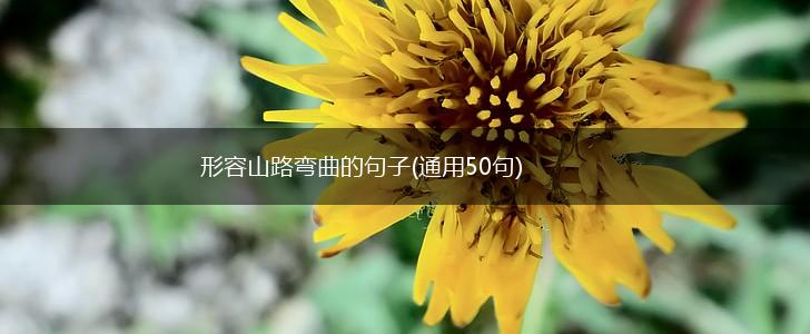 形容山路弯曲的句子(通用50句),第1张