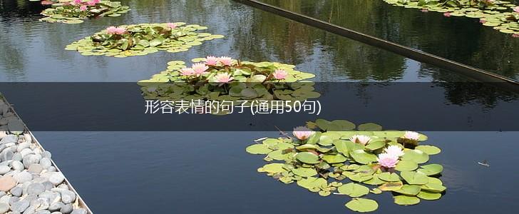 形容表情的句子(通用50句),第1张
