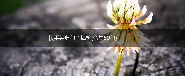 快手经典句子搞笑(合集50句),第1张