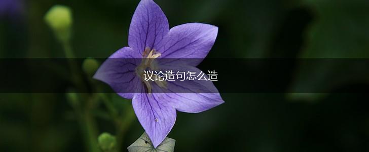 议论造句怎么造,第1张