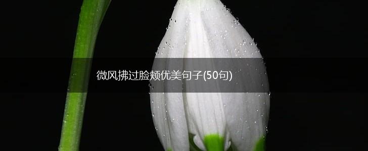 微风拂过脸颊优美句子(50句),第1张