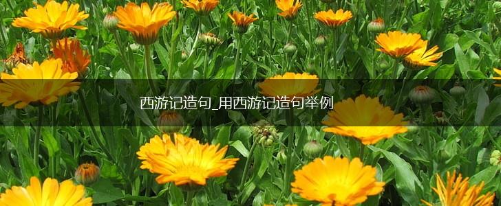 西游记造句_用西游记造句举例,第1张