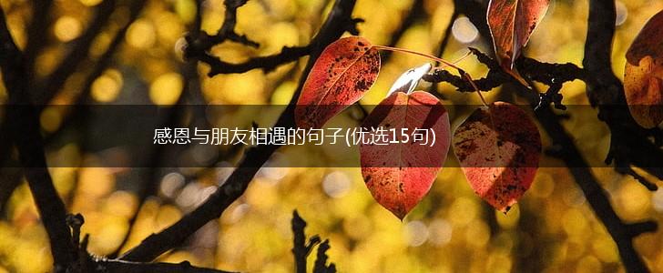感恩与朋友相遇的句子(优选15句),第1张
