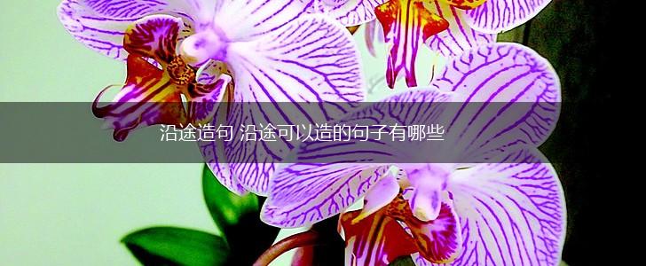 沿途造句 沿途可以造的句子有哪些,第1张