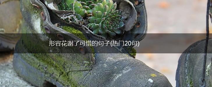 形容花谢了可惜的句子(热门20句),第1张