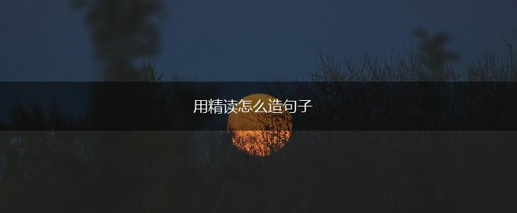 用精读怎么造句子,第1张
