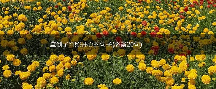 拿到了驾照开心的句子(必备20句),第1张