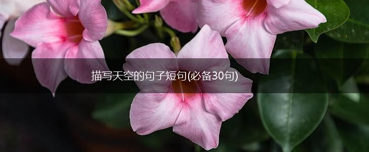 描写天空的句子短句(必备30句),第1张