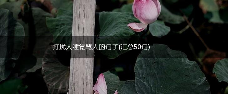打扰人睡觉骂人的句子(汇总50句),第1张