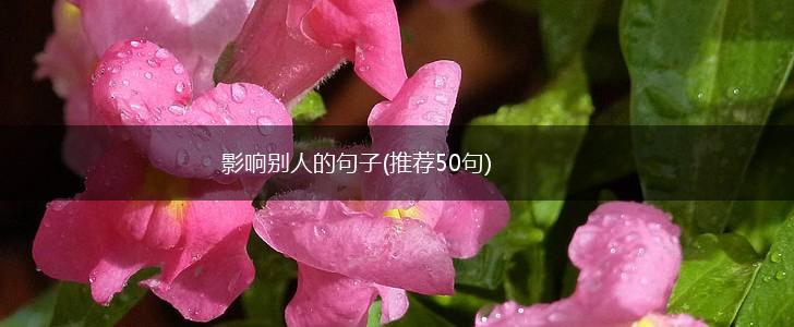 影响别人的句子(推荐50句),第1张
