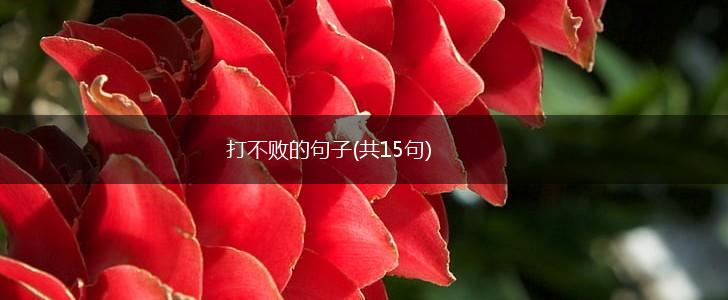 打不败的句子(共15句),第1张