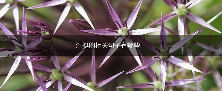 汽艇的相关句子有哪些,第1张