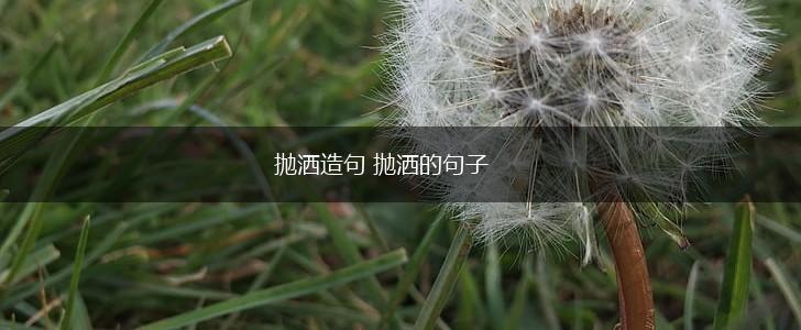 抛洒造句 抛洒的句子,第1张
