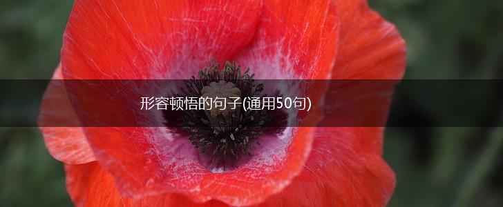 形容顿悟的句子(通用50句),第1张