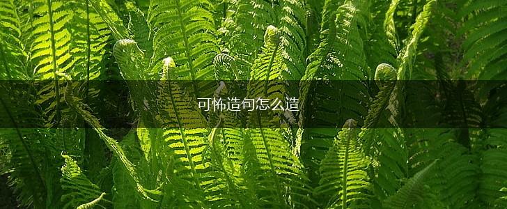 可怖造句怎么造,第1张
