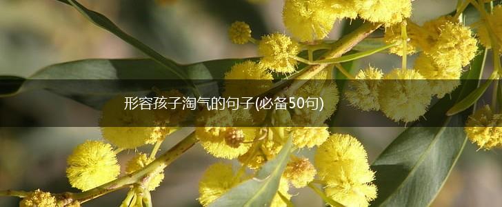 形容孩子淘气的句子(必备50句),第1张