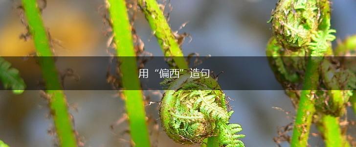 用“偏西”造句,第1张