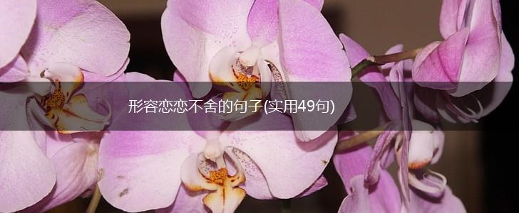 形容恋恋不舍的句子(实用49句),第1张